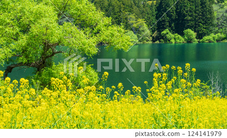 北龍湖（泉） 124141979