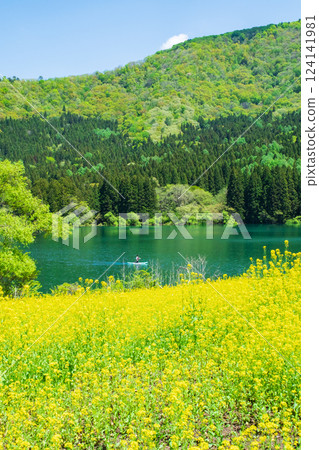 Lake Hokuryu (spring) 124141981