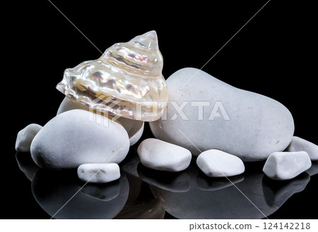 Pearlized Turban Shell on White Stones 124142218
