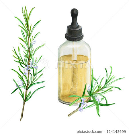 Bottle of rosemary essential oil and branch with flowers isolated on background. Watercolor illustration. Composition for phytoproduct design. Botanical drawing. 124142699