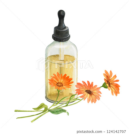 Bottle of calendula essential oil and branch with flowers isolated on background. Watercolor illustration. Composition for herbal product design. Botanical drawing. Bottle of calendula essential oil and branch with flowers isolated on background. Watercolor illustration. Composition for herbal product design. Botanical drawing. 124142707