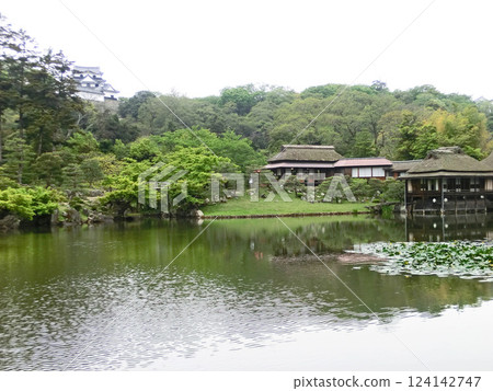 Rinchikaku and Houshoudai in Genkyuen Garden (Hikone City, Shiga Prefecture) 124142747