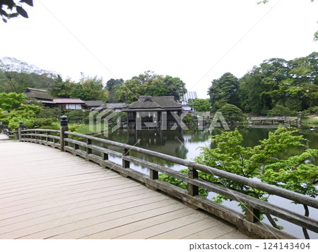 Ryugakyo Bridge and Rinchikaku in Genkyuen Garden (Hikone City, Shiga Prefecture) 124143404