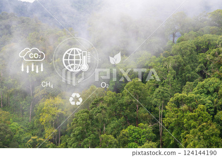 Tropical forests can absorb large amounts of carbon dioxide from the atmosphere. Tropical forests can absorb large amounts of carbon dioxide from the atmosphere. 124144190