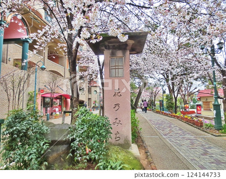 寶塚市 - 櫻花花路 124144733