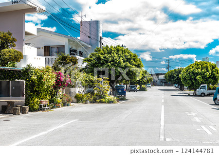 Okinawa scenery 124144781