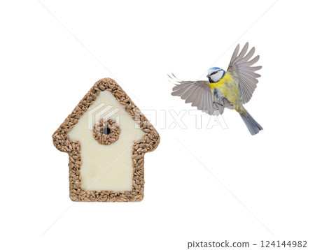 bird house made of sunflower and tit isolated on white background 124144982