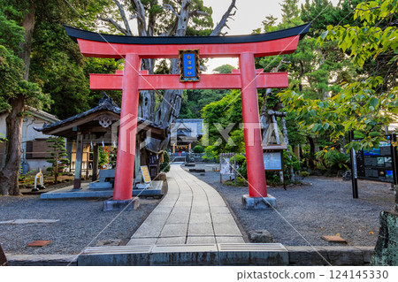 靜岡縣下田市白濱神社(鳥居) 靜岡縣下田市白濱神社(鳥居) 124145330