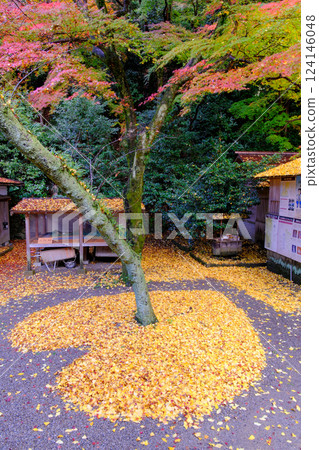 秋葉和老建築 124146048