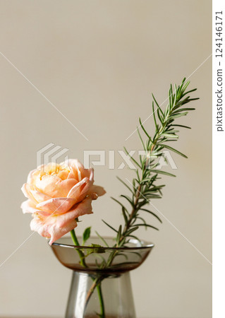 Beautiful pinkish coral orange roses under sunlight in on wooden table. Floral natural background with rose flower. 124146171