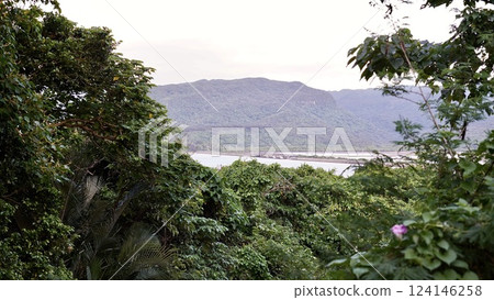 沖繩縣八重山群島西表島森林深處的船浦灣潮灘 沖繩縣八重山群島西表島森林深處的船浦灣潮灘 124146258