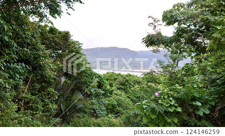 沖繩縣八重山群島西表島森林深處的船浦灣潮灘 沖繩縣八重山群島西表島森林深處的船浦灣潮灘 124146259