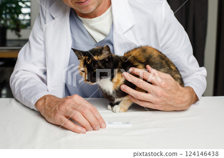 Male vet with cat in veterinary clinic close-up Male vet with cat in veterinary clinic close-up 124146438