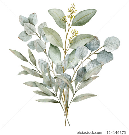 Watercolor hand drawn bouquet with different weeping and silver eucalyptus branches of svage green color 124146873