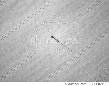Aerial view of a winter field featuring a solitary tree at the center. Snow blankets the landscape, creating a harmonious contrast with the ground patterns made by farm equipment. Aerial view of a winter field featuring a solitary tree at the center. Snow blankets the landscape, creating a harmonious contrast with the ground patterns made by farm equipment. 124146953
