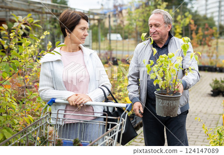 Elderly man and woman buying clematis at an open market Elderly man and woman buying clematis at an open market 124147089