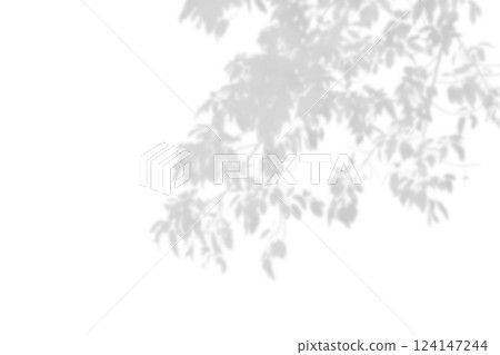 Shadow of leaf overlay on white texture background. Use for decorative product presentation. Shadow of leaf overlay on white texture background. Use for decorative product presentation. 124147244