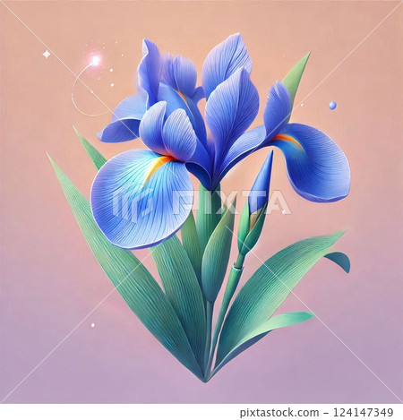 優雅綻放的鳶尾花 優雅綻放的鳶尾花 124147349