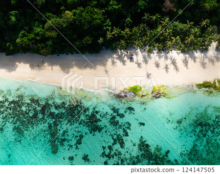Flying over coconut trees and white sand with ocean waves in Puka Shell Beach. Boracay, Philippines. Flying over coconut trees and white sand with ocean waves in Puka Shell Beach. Boracay, Philippines. 124147505