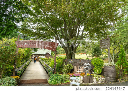 Tourists walking along the walking paths at Kuju Flower Park in autumn, Taketa City, Oita Prefecture Tourists walking along the walking paths at Kuju Flower Park in autumn, Taketa City, Oita Prefecture 124147647