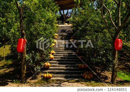 Artificial pumpkins. 124148051