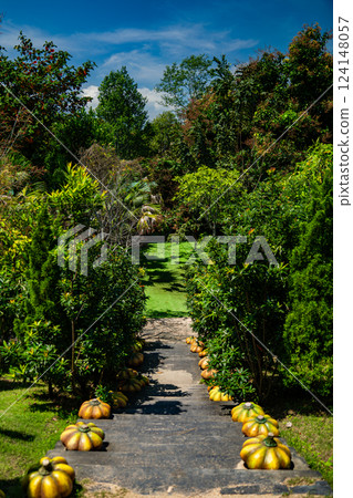Artificial pumpkins. 124148057