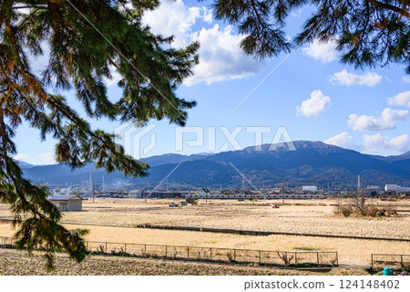 A train running through rice fields on the outskirts of Odawara city 124148402