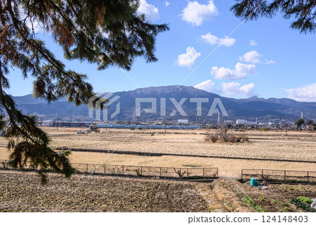 A train running through rice fields on the outskirts of Odawara city 124148403