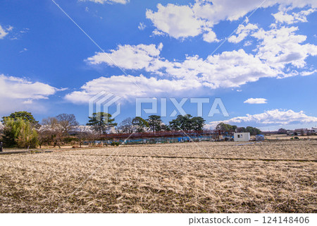 Scenery of pine trees and rice fields along the Sakawa River 124148406