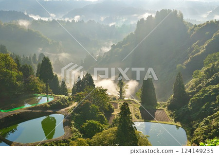 Morning rice terraces at Yamakoshi Ipponsugi (Niigata Prefecture) Morning rice terraces at Yamakoshi Ipponsugi (Niigata Prefecture) 124149235