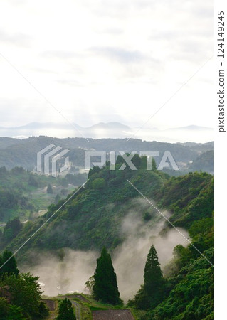 Morning rice terraces at Yamakoshi Ipponsugi (Niigata Prefecture) 124149245