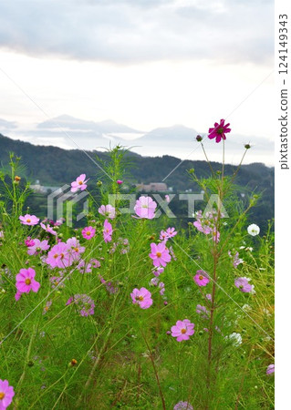 山越藥師陵（新潟縣） 124149343