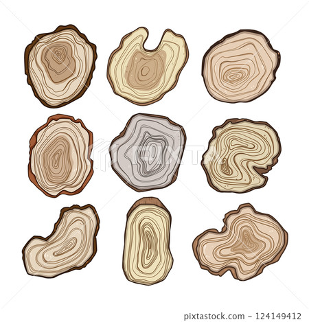 tree rings set cartoon vector illustration tree rings set cartoon vector illustration 124149412