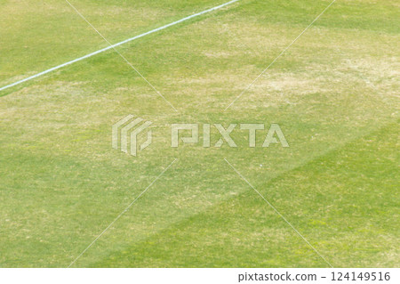 Koshien stadium lawn Koshien stadium lawn 124149516