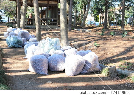 一堆袋子裡裝滿了除草後掉落的樹葉 一堆袋子裡裝滿了除草後掉落的樹葉 124149603