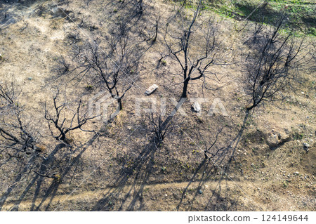 Wildfire devastating trees in legarda, navarre, spain, causing environmental damage Wildfire devastating trees in legarda, navarre, spain, causing environmental damage 124149644