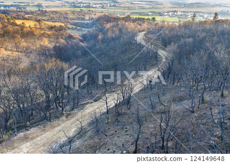 Devastating wildfire sweeping through forest in legarda, navarre, spain 124149648