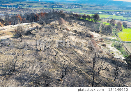 Wildfire devastating trees in legarda, navarre, spain, causing environmental damage 124149650