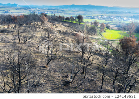 Wildfire devastating trees on a hillside overlooking legarda, navarre, spain 124149651