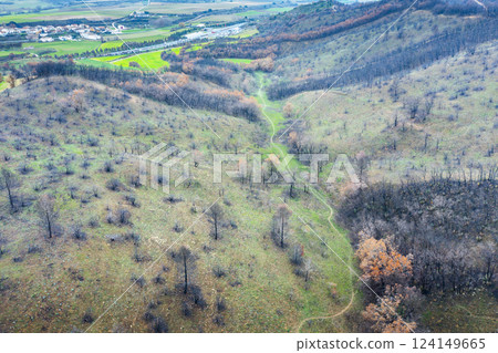 Wildfire devastating landscape in legarda, navarre, spain, leaving a trail of destruction Wildfire devastating landscape in legarda, navarre, spain, leaving a trail of destruction 124149665