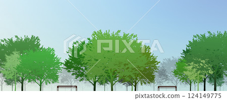 spring trees in the park zone 124149775