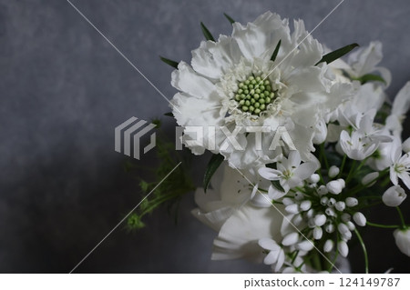  White flower 124149787