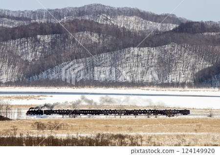 Kottaro Marsh and the Steam Locomotive Winter Marsh Kottaro Marsh and the Steam Locomotive Winter Marsh 124149920