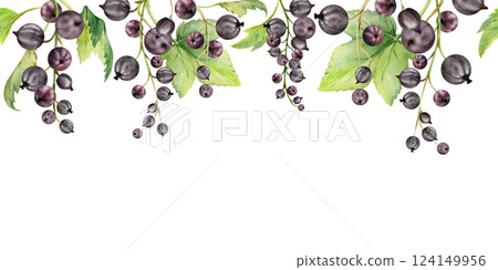 Currant gooseberry with green leaves on branch, hand drawn in watercolor, ripe garden berry juneberry casseille jostaberry cluster group. Isolated seamless banner border for craft menu, farmers market Currant gooseberry with green leaves on branch, hand drawn in watercolor, ripe garden berry juneberry casseille jostaberry cluster group. Isolated seamless banner border for craft menu, farmers market 124149956