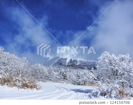 新雪的富士 124150706