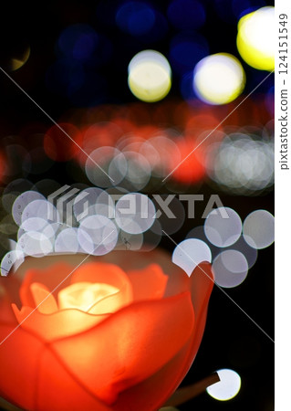 Ashikaga Flower Park Christmas Illumination 124151549