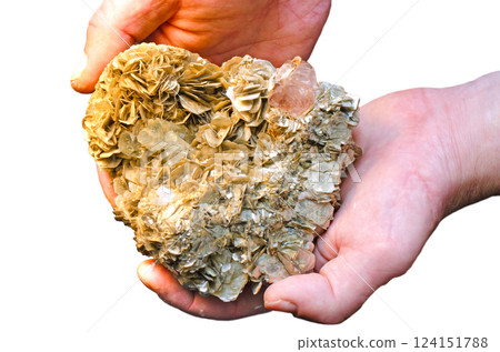 Woman hands holding yellow mineral siderite crystal cluster isolated on a white background Woman hands holding yellow mineral siderite crystal cluster isolated on a white background 124151788