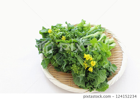 新鮮油菜花,可食用 新鮮油菜花,可食用 124152234