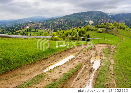 countryside mountain landscape in spring. green nature with cloudy sky. beautiful view with fence along the path through hill in the rain for tourism. rural outdoor adventure 124152313
