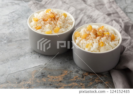 Delicate sweet rice pudding with cinnamon and golden raisins close-up in ramekin. Horizontal Delicate sweet rice pudding with cinnamon and golden raisins close-up in ramekin. Horizontal 124152485